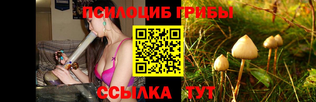 Псилоцибиновые грибы GOLDEN TEACHER Нурлат